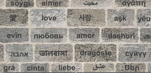 Dünyada bilinen kaç dil var?